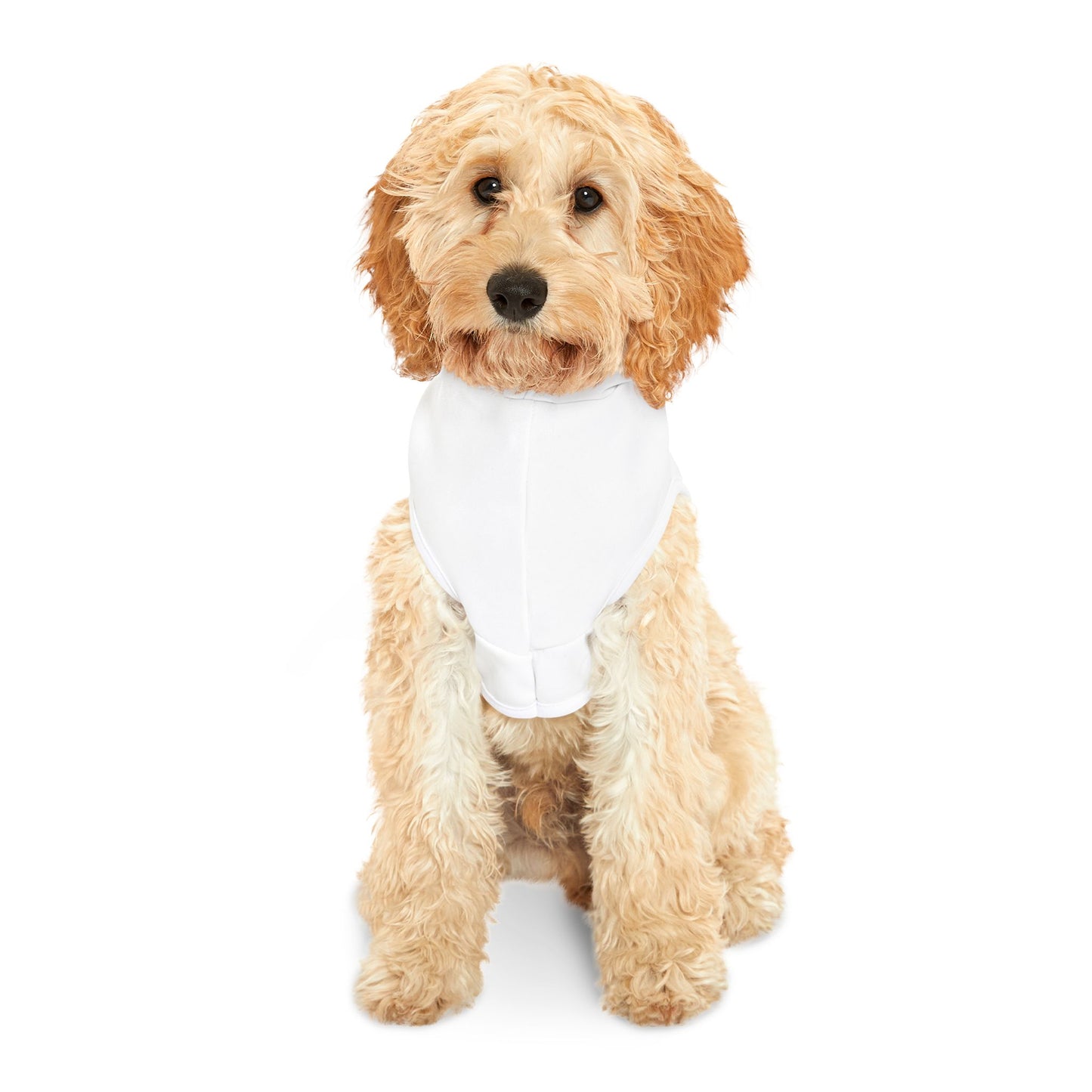 Pet Hoodie - stylish clothes for the coolest pets, Dog Hoodie, Cat Outfit, Fashionable Pet Clothing, Trendy Animal Apparel, Unique Pet Gift