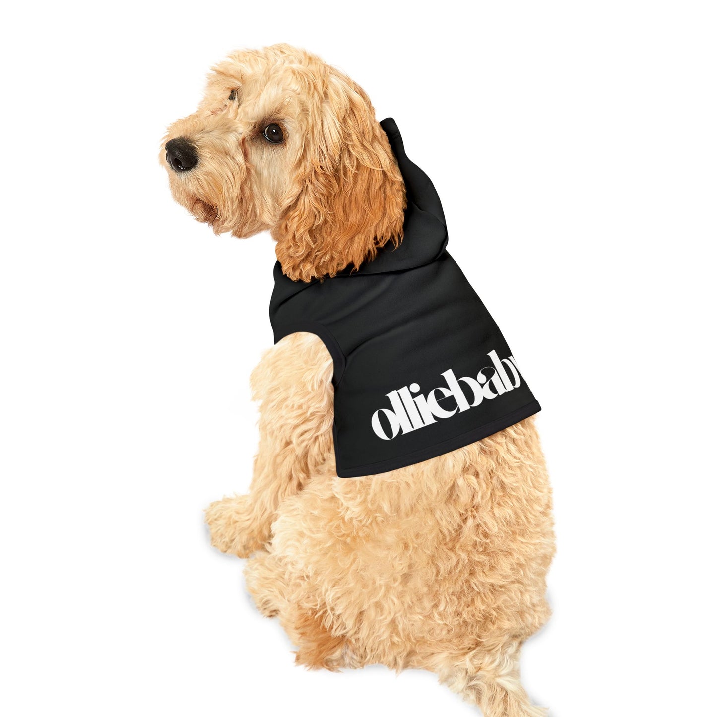 olliebaby Pet Hoodie