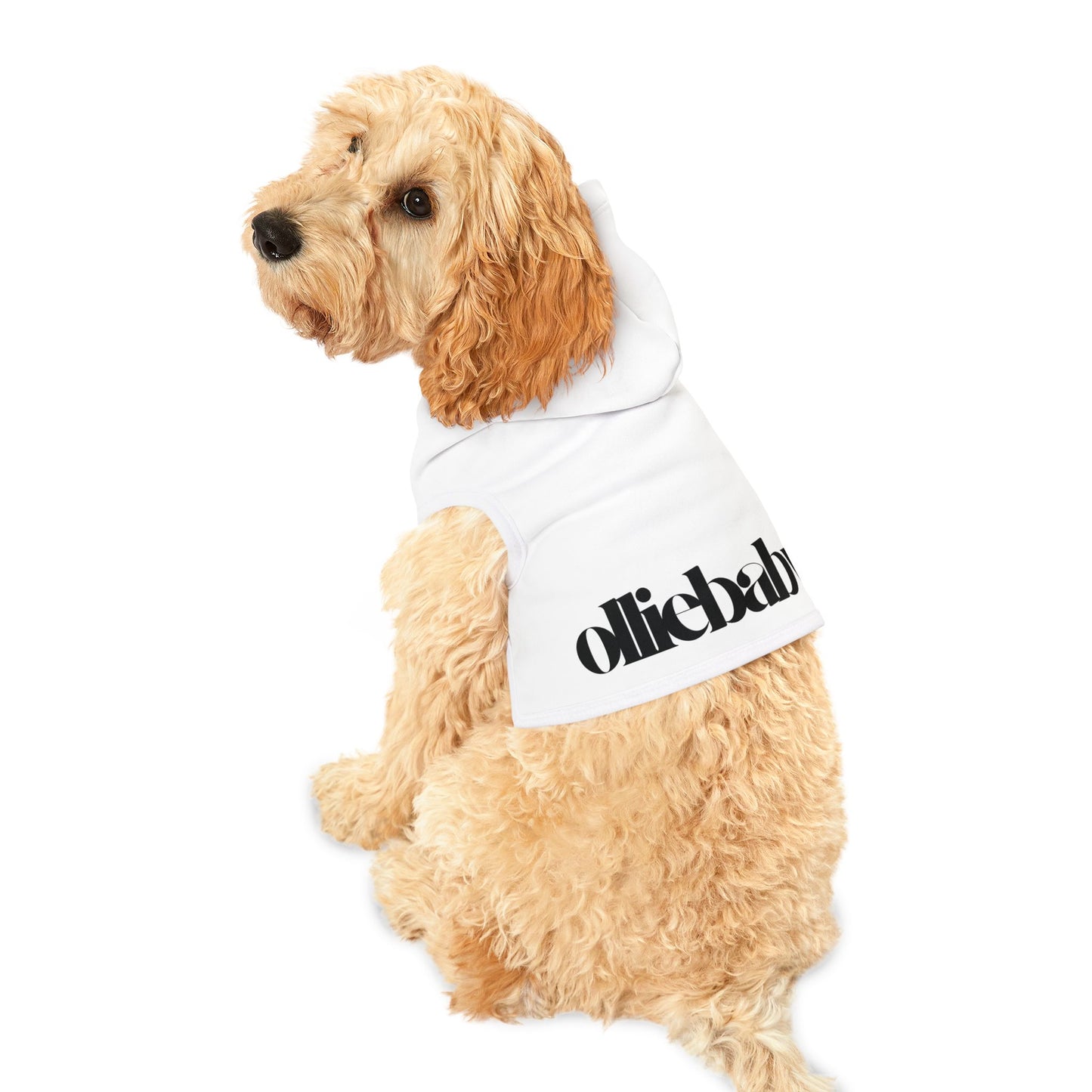 Pet Hoodie - stylish clothes for the coolest pets, Dog Hoodie, Cat Outfit, Fashionable Pet Clothing, Trendy Animal Apparel, Unique Pet Gift