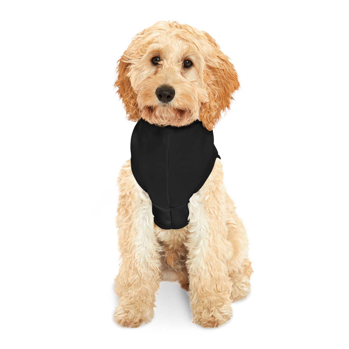 olliebaby Pet Hoodie