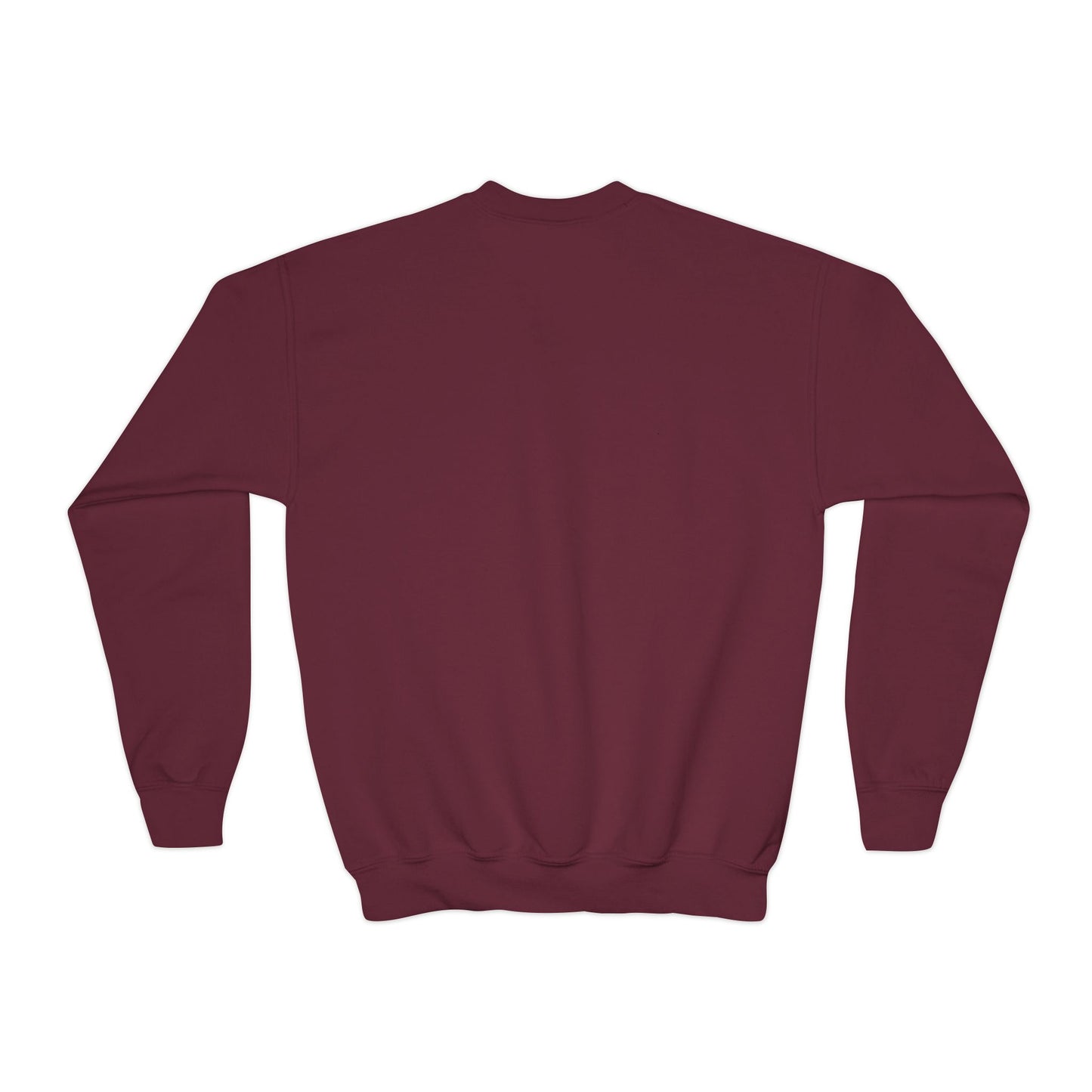 Girlhood Social Club Youth Crewneck Sweatshirt - You Can Sit With Us, Kind Girls Gift, Supportive Women, Comfy and Cute Apparel